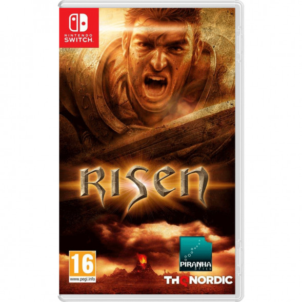 Игра Risen [Nintendo Switch, русская версия] в Улан-Удэ