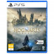 Игра Hogwarts Legacy. Exclusive DLC Astronomers Hat [PS5, русские субтитры] в Улан-Удэ